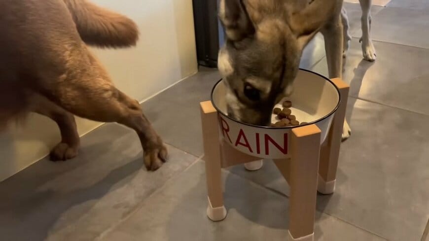 森泉のYouTube動画のスクリーンショット