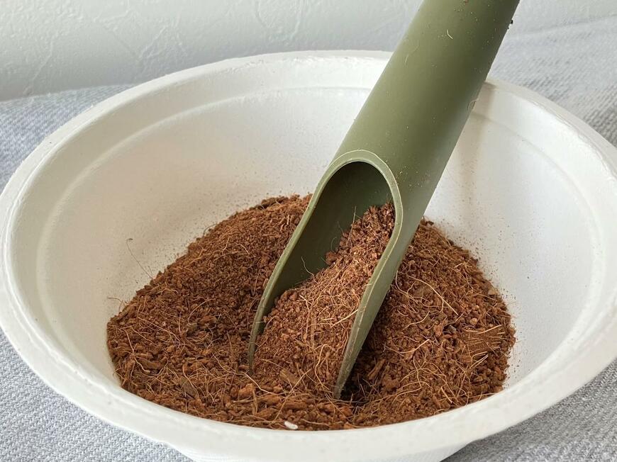 ミニ観葉キューブと観葉植物の土で春植えアスパラをお迎え