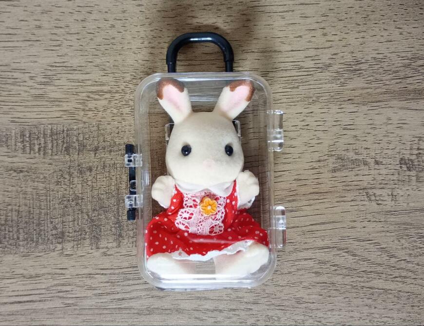 キャンドゥ、ミニチュアスーツケース画像