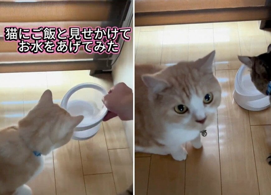うるうるの瞳で見上げるそらくん