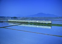 新潟県の田園風景を走る列車を10年間撮影　四季折々のベスト写真に「映画に出そう」「心の原風景」