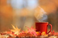 次の支給は10月【年金生活者支援給付金】「だれがいくらもらえる？」対象者や手続き方法とは