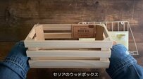 【セリア商品でDIY】100均ショップ「セリア」のウッドボックスとワイヤーシェルフで「ガーデニングポット」ができあがり！