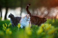 待ちに待った退職金、公務員だったらいくらもらえるのか