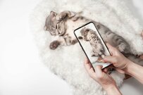 「また斬新なタイトルつけてくれたね」AIが「猫の写真」につけたタイトルに爆笑