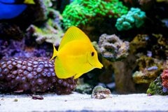 もしパートナーが死亡すると【年金】はどうなる？手続きや家族の保障とは