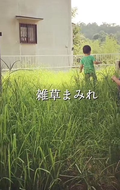 変身前の庭