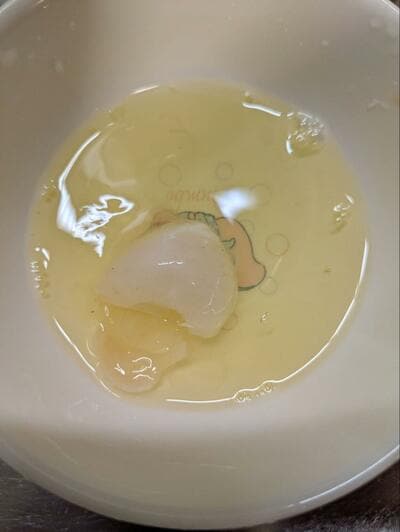 投稿の画像