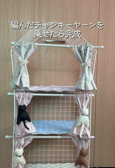 完成した猫のマンション