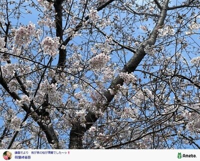 假屋崎省吾の公式ブログ投稿