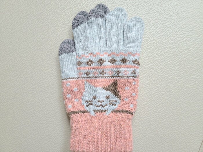 筆者が選んだのは、ネコのイラストが可愛らしいピンクの手袋
