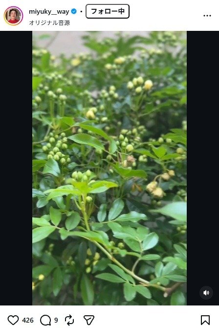 出所：香坂みゆきのInstagram（＠miyuky__way） 参照日：2026年4月7日