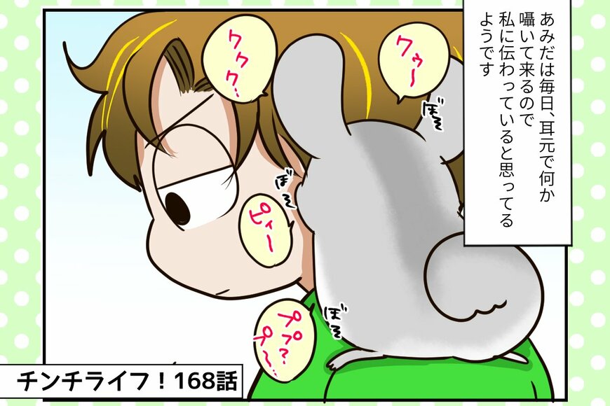 【チンチライフ第168話】自分を人間だと思っているあみだちゃん。来客対応もバッチリ？