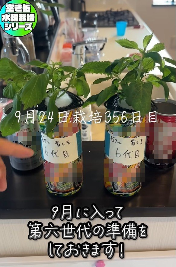 出所：@mikanbo-ya1987