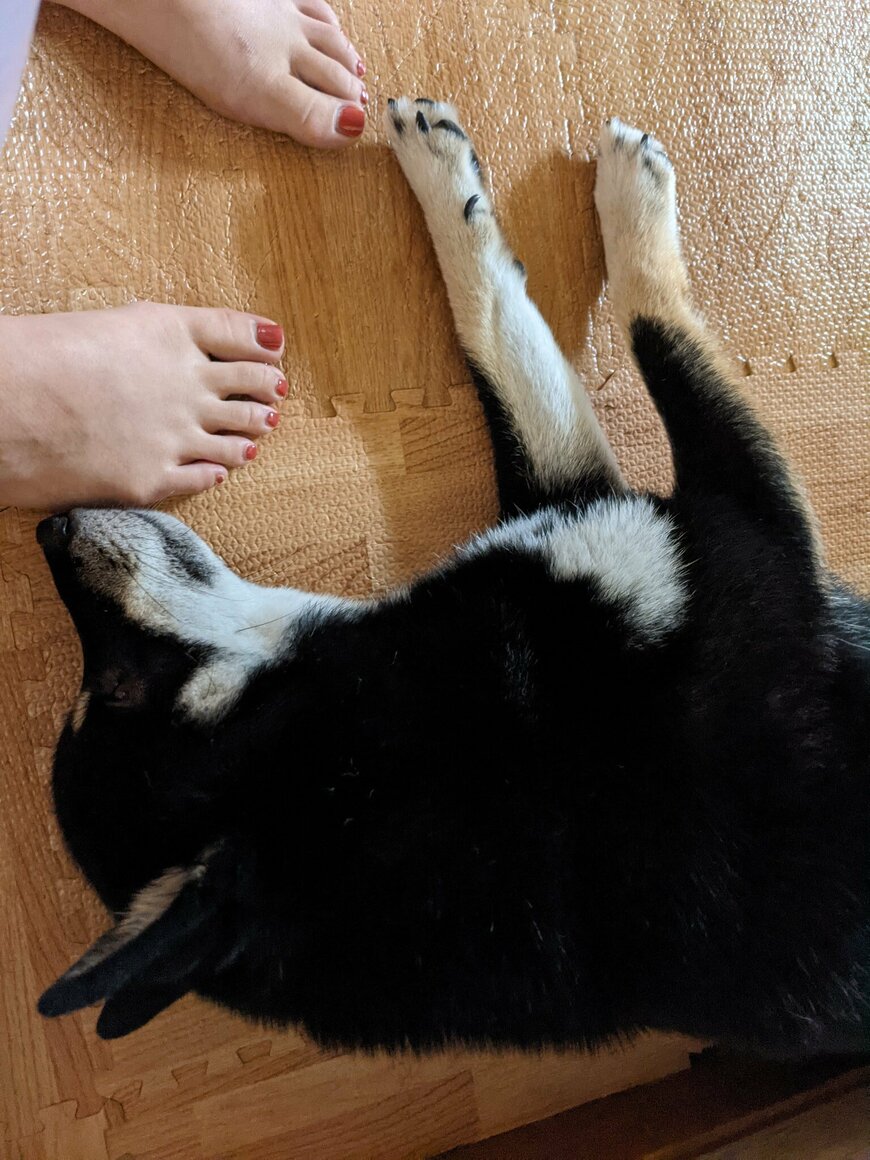 出所：@BLshiba_tensuke