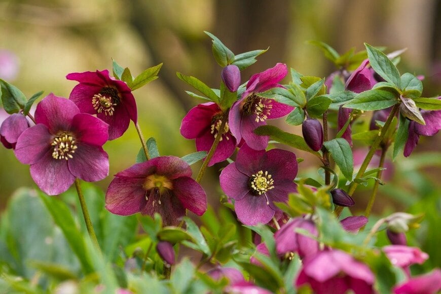 Claudia Cooper/istockphoto.com