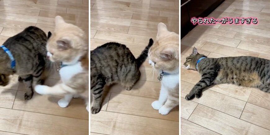 出所：@sorakai0905