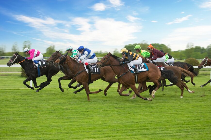 競馬テレビ番組おススメ4選。自宅で競馬を楽しもう！