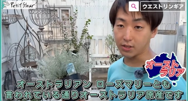 出所：@petit_fleur