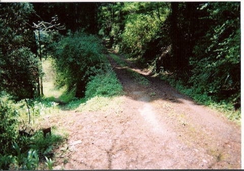 出所：@adusa2gouさん提供