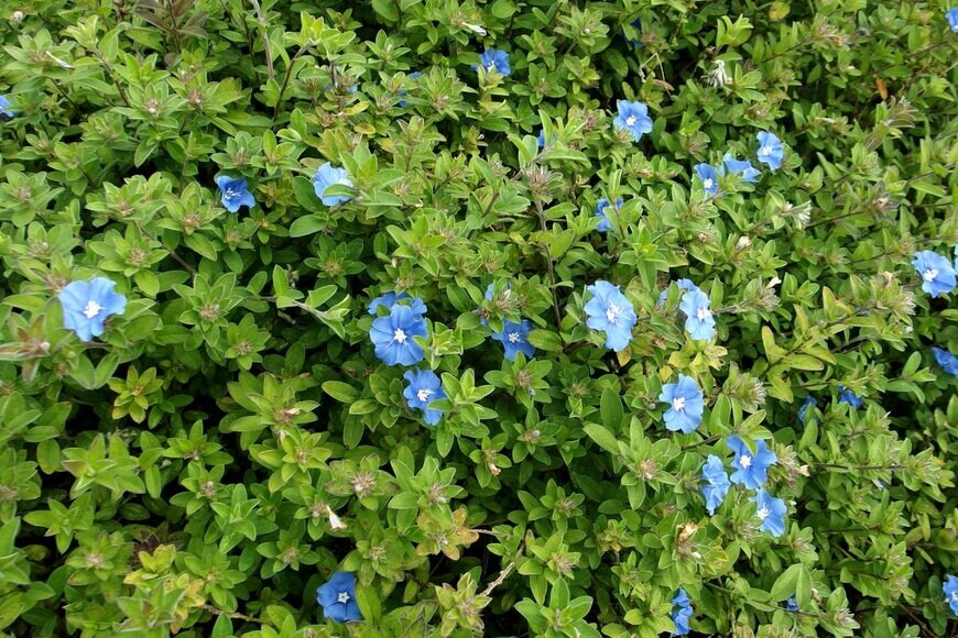 kariphoto/Shutterstock.com