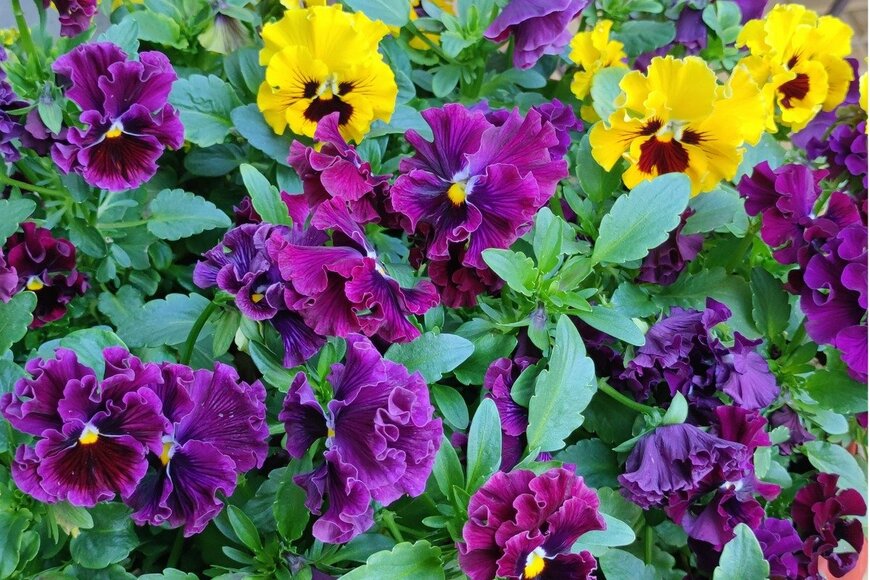 Jana Milin/istockphoto.com