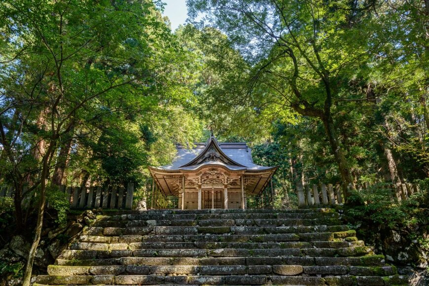 福井県の平泉寺白山神社で撮影した鳥居　緑に包まれた神秘的な一枚に「心が癒される」と話題