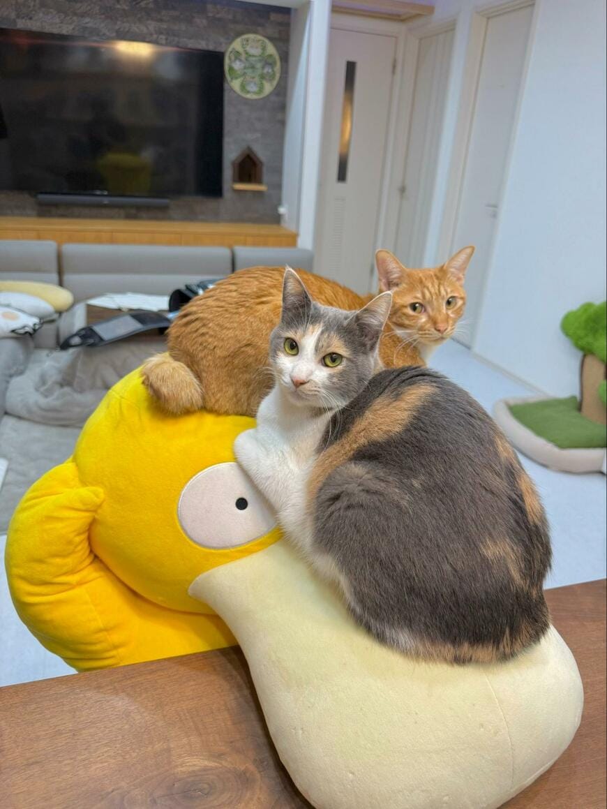 出所：@omochi_nam01