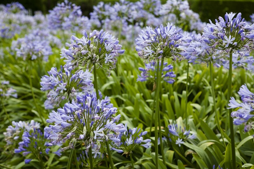 Will Perrett/istockphoto.com