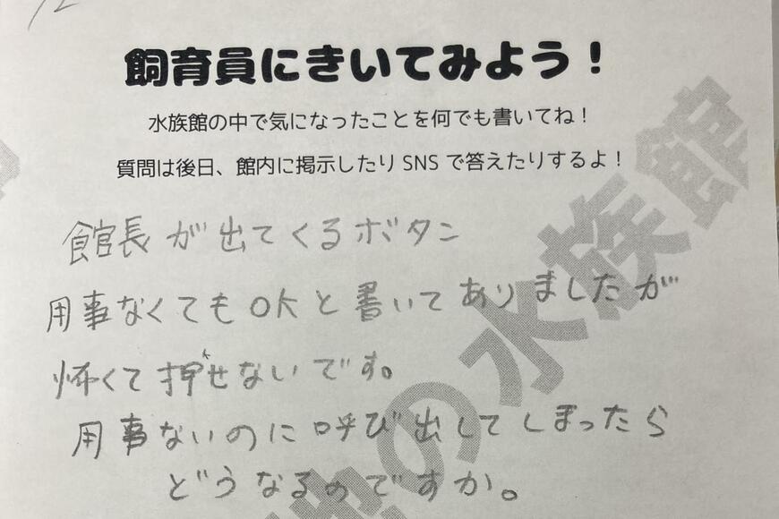 北海道の水族館にある「館長が出てくるボタン」を押すとどうなる？　素朴な質問への回答が話題