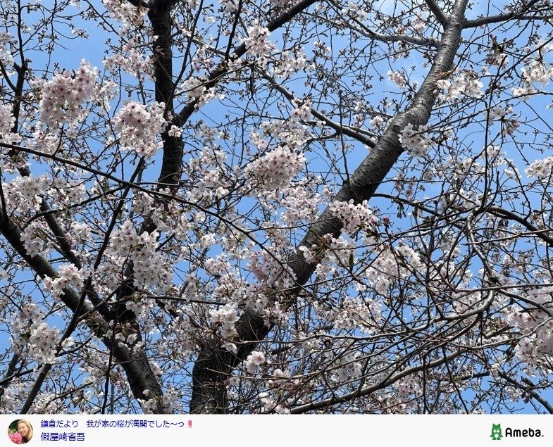 出所：假屋崎省吾の公式ブログ　参照日：2026年3月31日