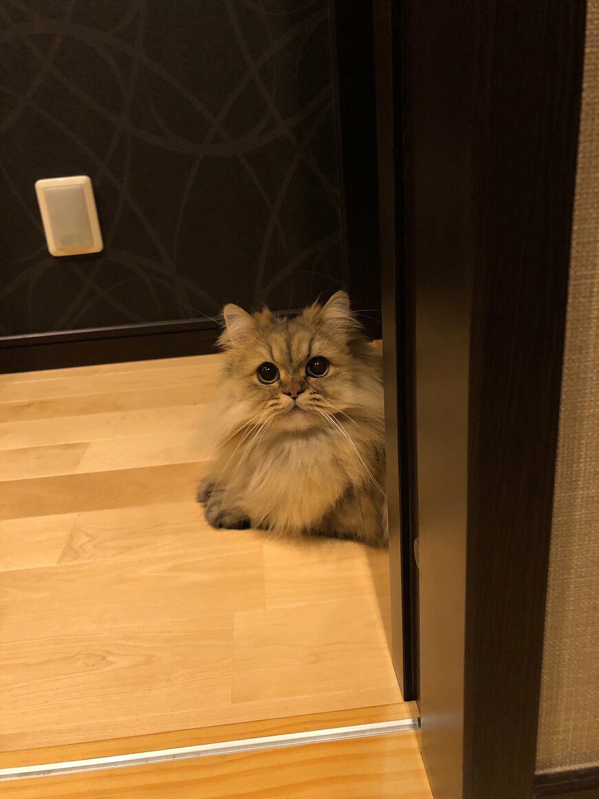 出所：@UphQepCv8J