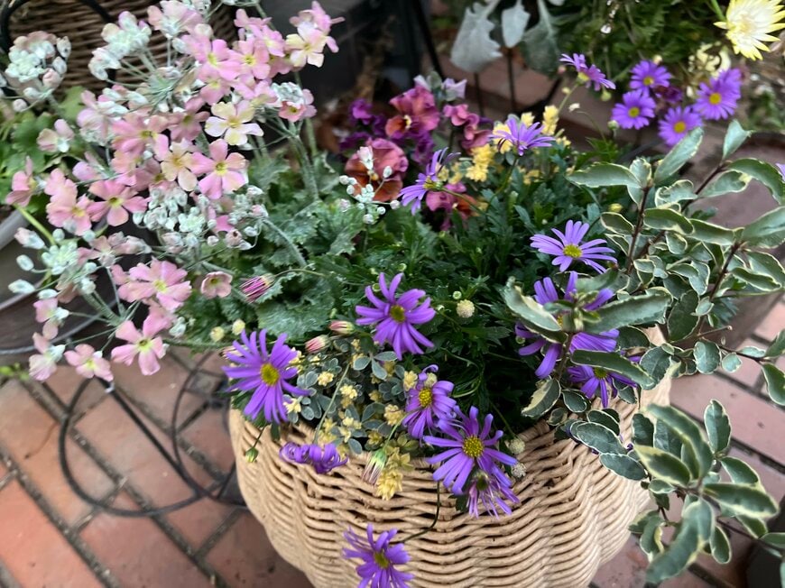 LIMOガーデニング部撮影