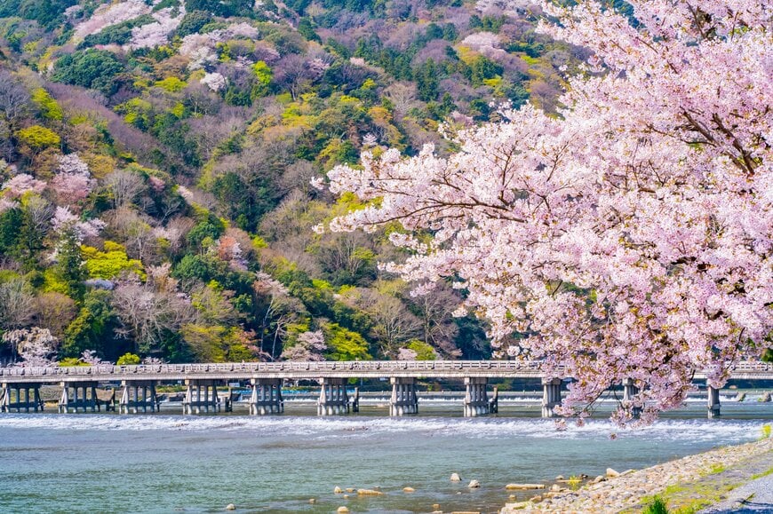 桜の名所と呼ばれる嵐山の渡月橋