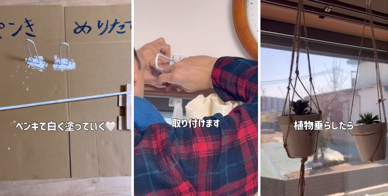 投稿の画像