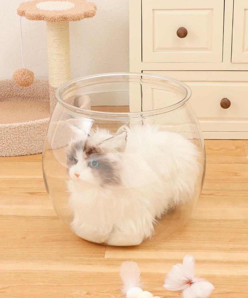 3COINS キャット金魚鉢 画像