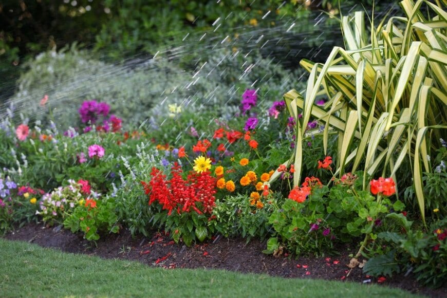 庭に地植えされている草花。