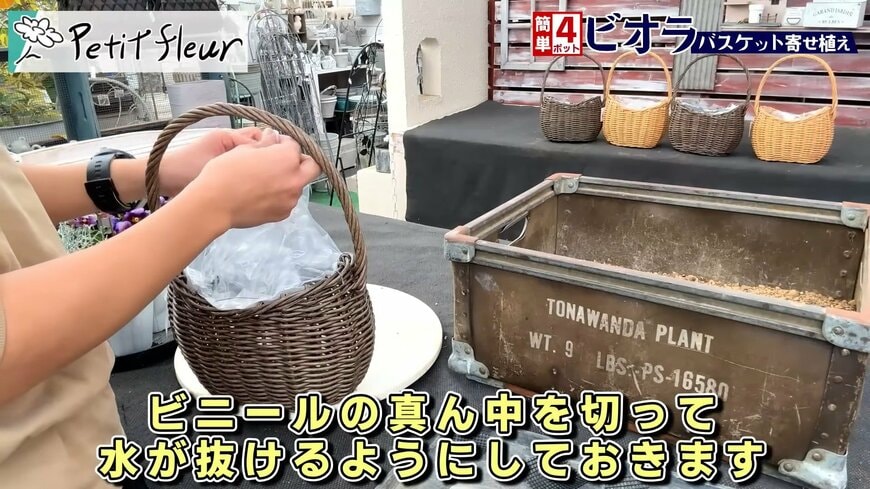 プチフルール 園芸Ch(@petit_fleur)さん投稿動画のキャプチャ