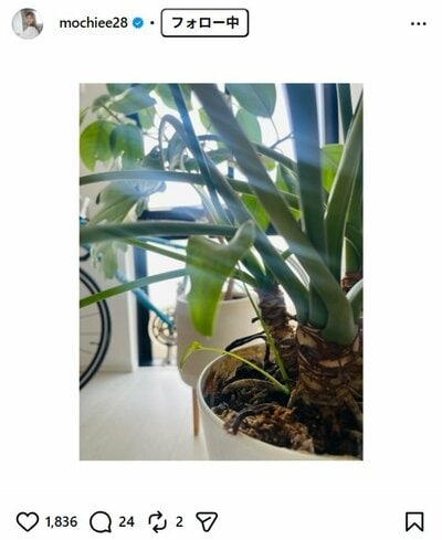 望月理恵のInstagram投稿