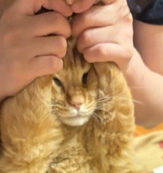「吸われるぅぅぅ～」