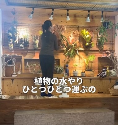 投稿の画像