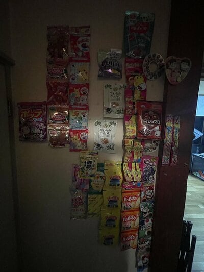 「カブトムシ捕まえる要領」で壁に駄菓子をたくさんつけた