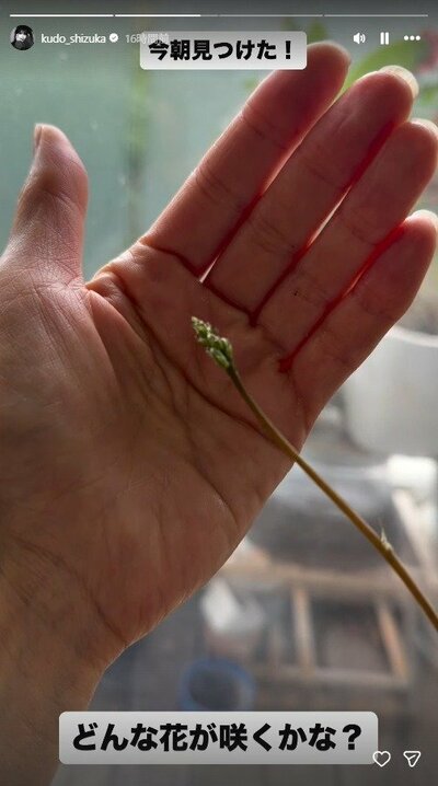 工藤静香のInstagramストーリーズ投稿