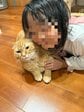 「乾かしてから来て」と言いたげな猫…暖を取りたい娘さんに寄り添われた一枚にホッコリ