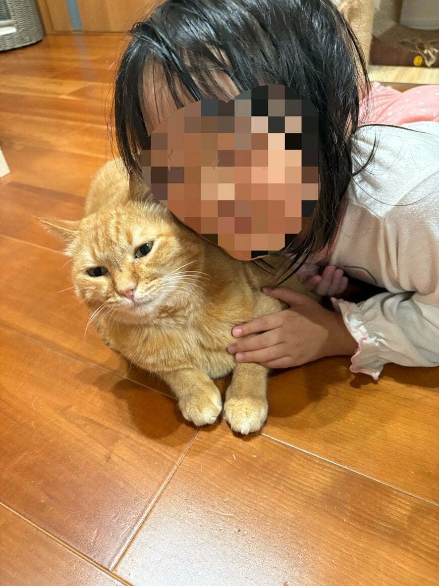 「乾かしてから来て」と言いたげな猫…暖を取りたい娘さんに寄り添われた一枚にホッコリ