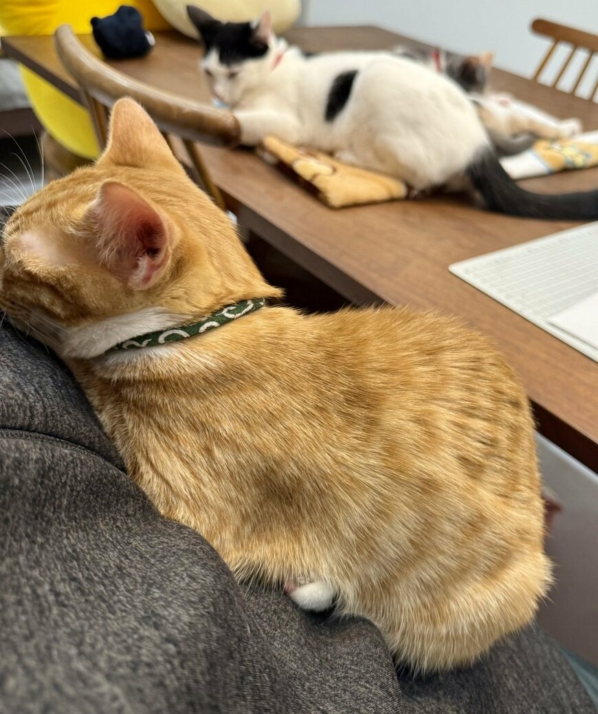 出所：@omochi_nam01