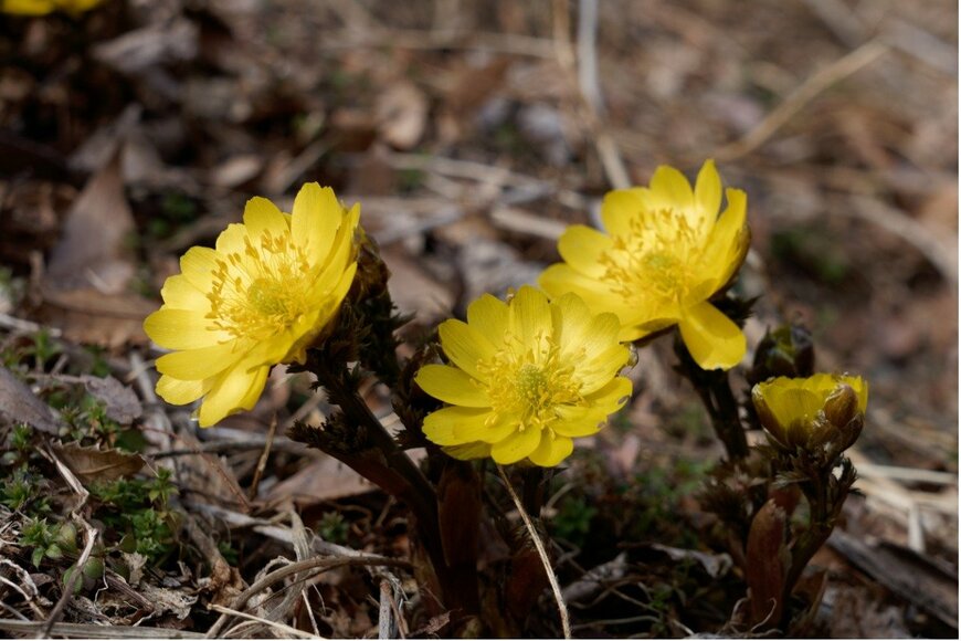 minipins/istockphoto.com