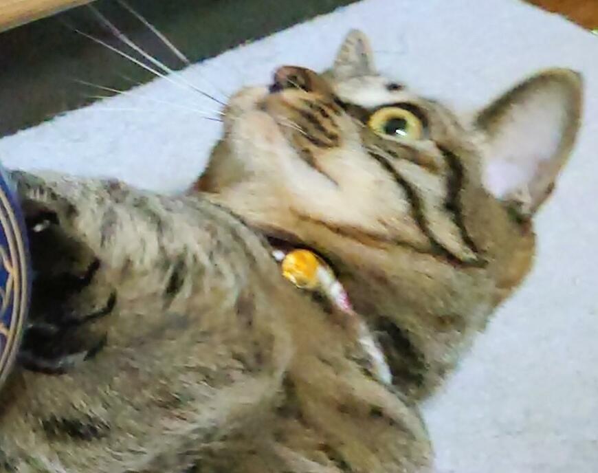 出所：@Mh0MLiErcV8E97C