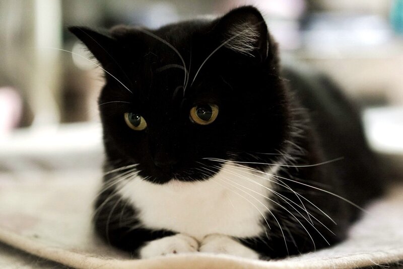 出所：@unicouniuni3