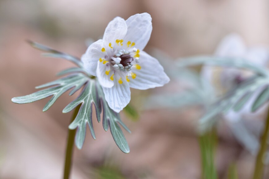 tosamanoi/shutterstock.com